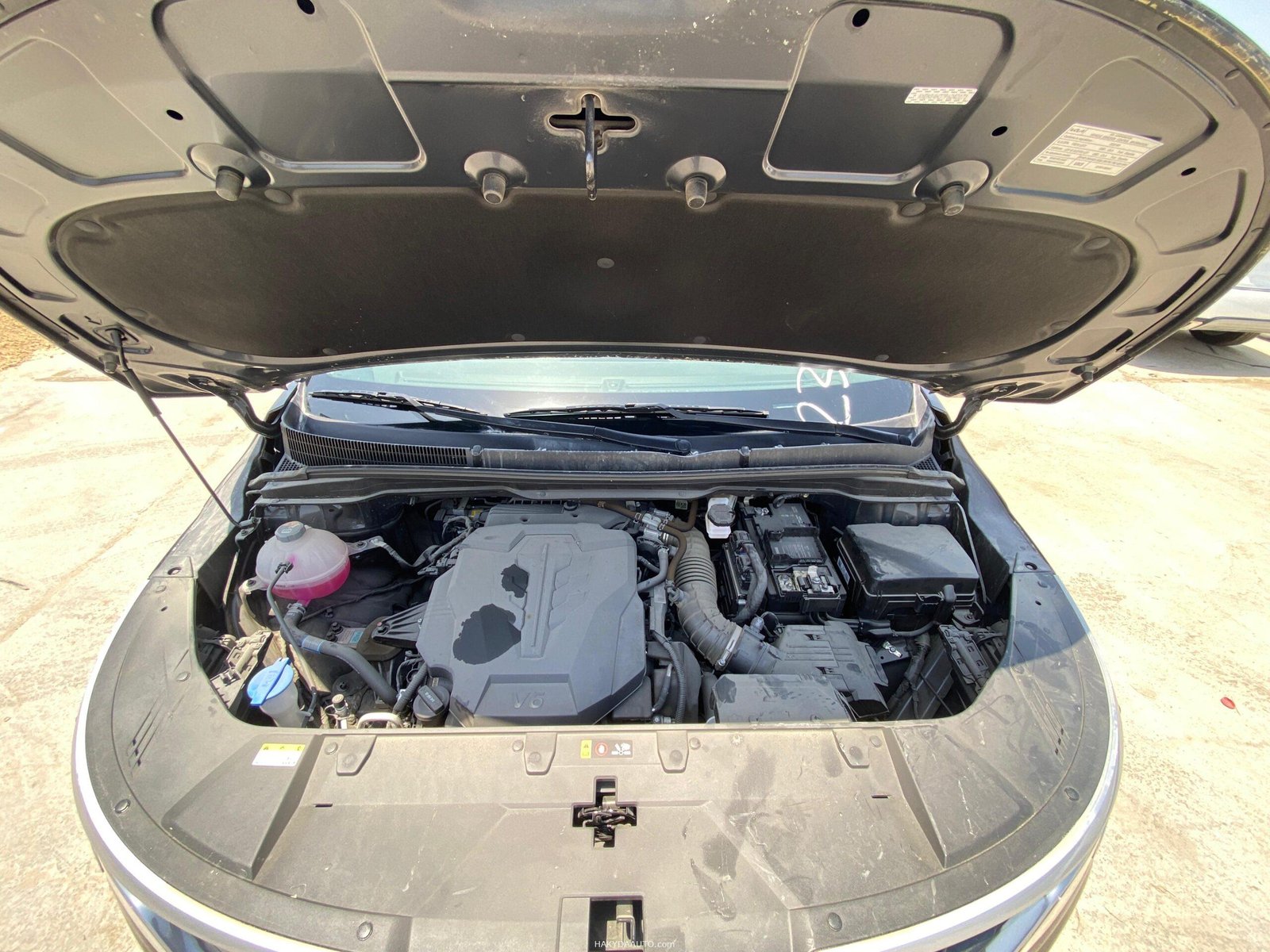 KIA CARNIVAL LX — 10